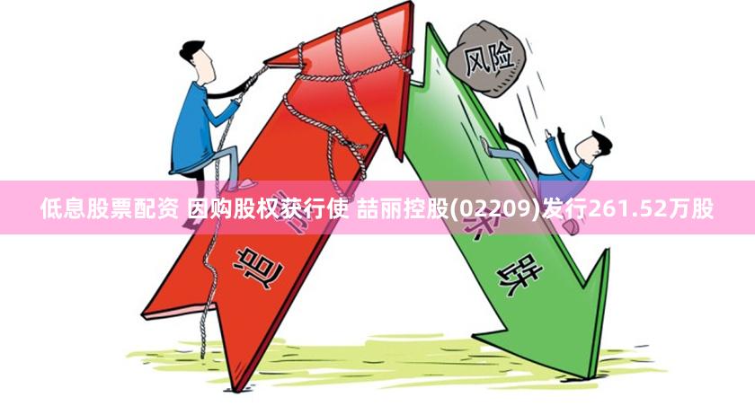 低息股票配资 因购股权获行使 喆丽控股(02209)发行261.52万股