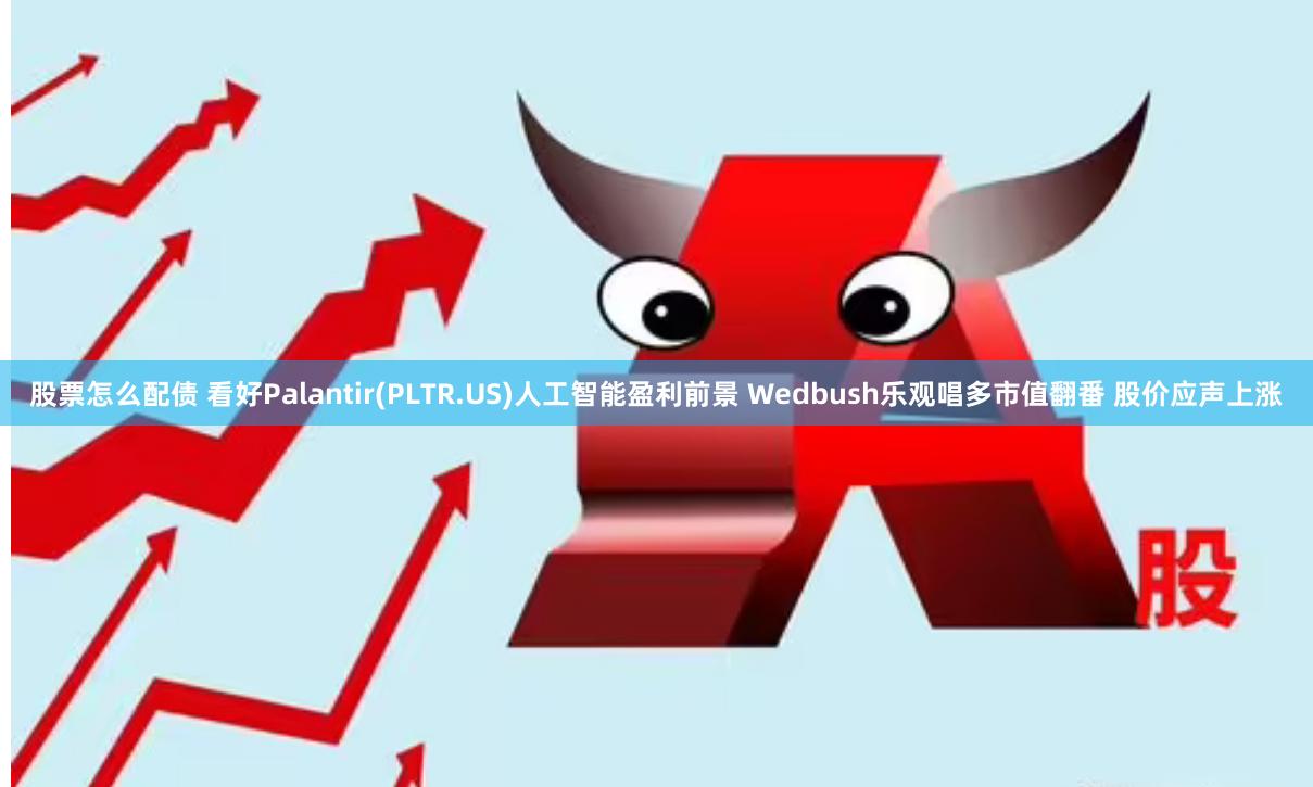 股票怎么配债 看好Palantir(PLTR.US)人工智能盈利前景 Wedbush乐观唱多市值翻番 股价应声上涨