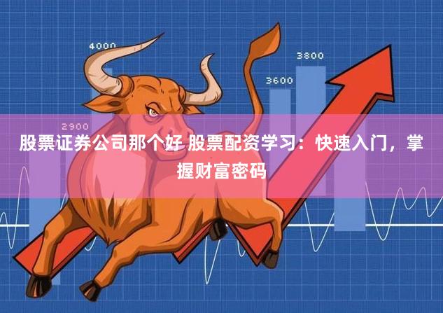股票证券公司那个好 股票配资学习：快速入门，掌握财富密码